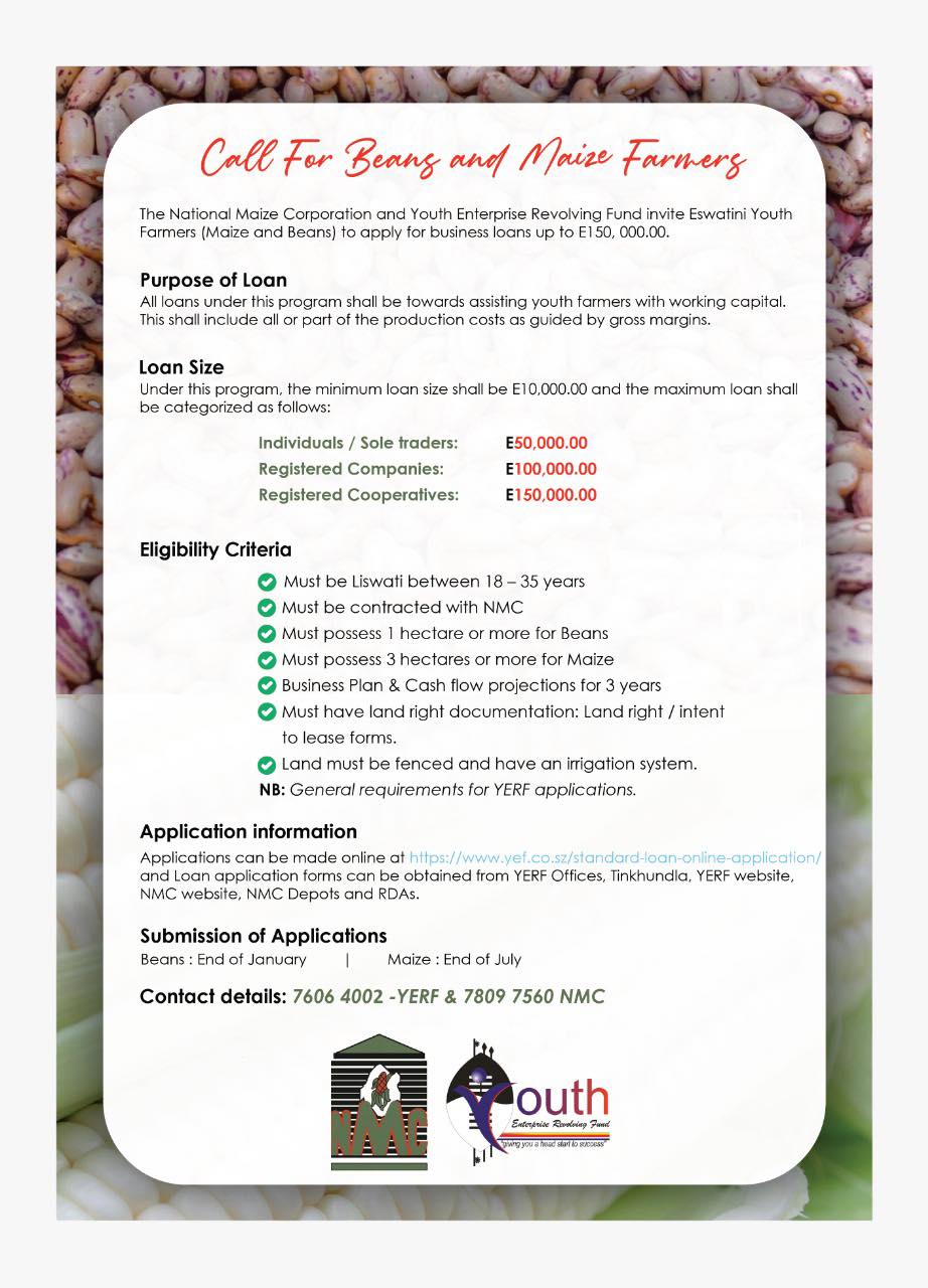 616549576_1202075362109643_4947028716565121479_n