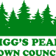 Pigg's Peak Town Council
