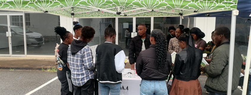 How to demonstrate leadership when you do not have a title