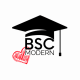BSC Modern Business English School